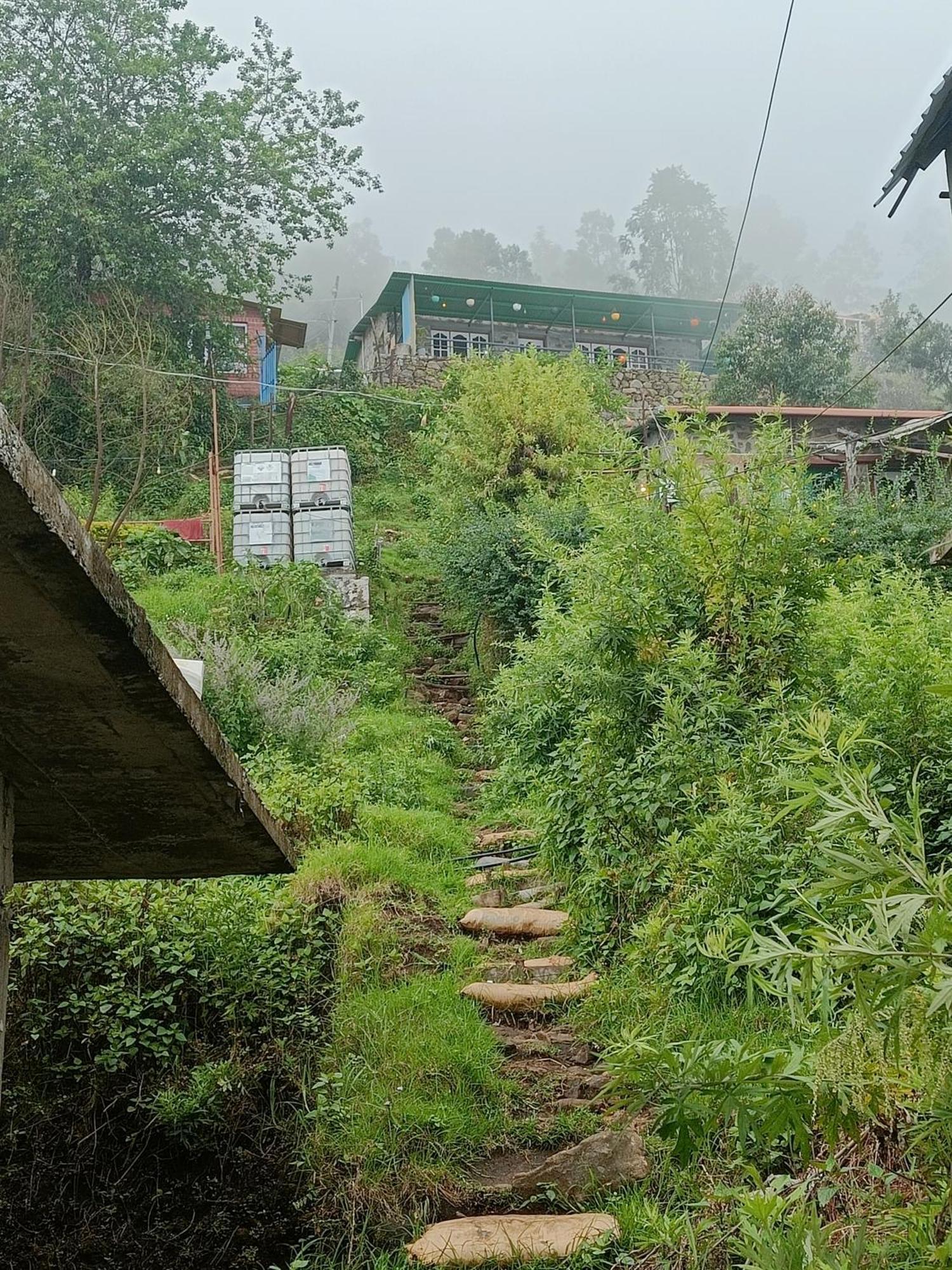 הוילה קודאיקנאל Cozy Huts מראה חיצוני תמונה